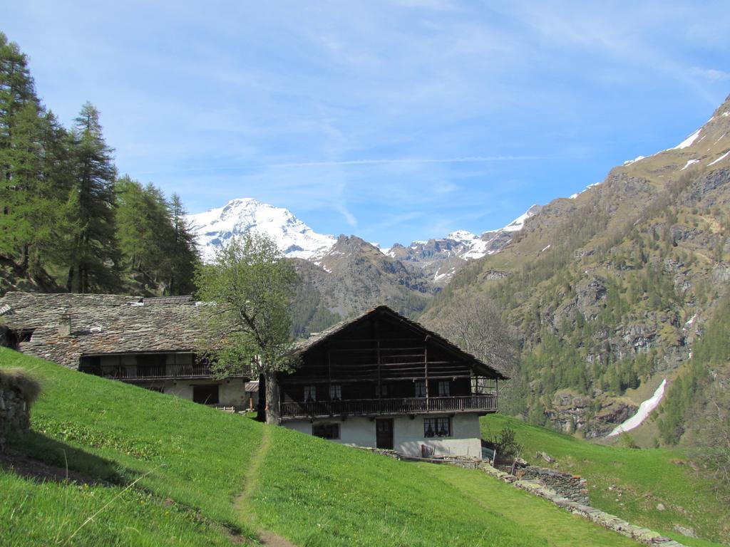 Hotel Lysjoch Gressoney-la-Trinité Exterior photo